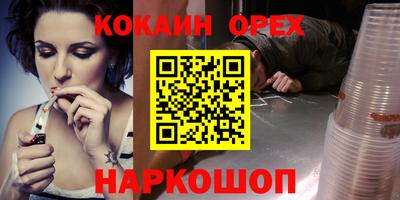 крисы Славгород