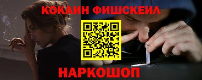 крисы Славгород