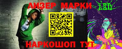крисы Славгород