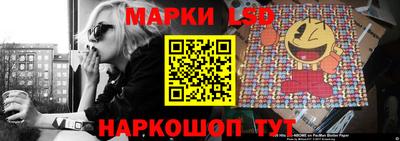 крисы Славгород