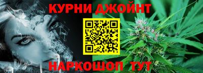 крисы Славгород