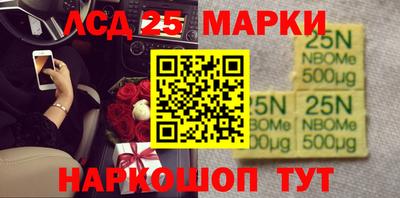 крисы Славгород