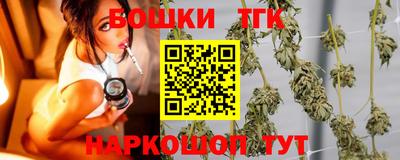 крисы Славгород