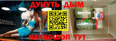 крисы Славгород