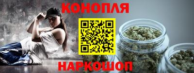 крисы Славгород