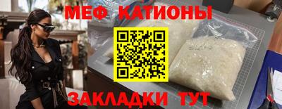 крисы Славгород