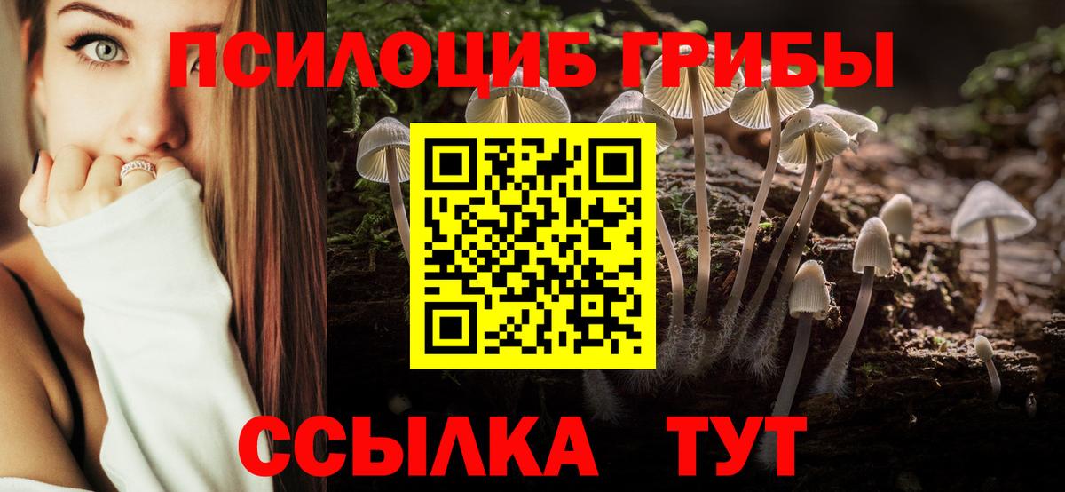 Галлюциногенные грибы мицелий Новотроицк