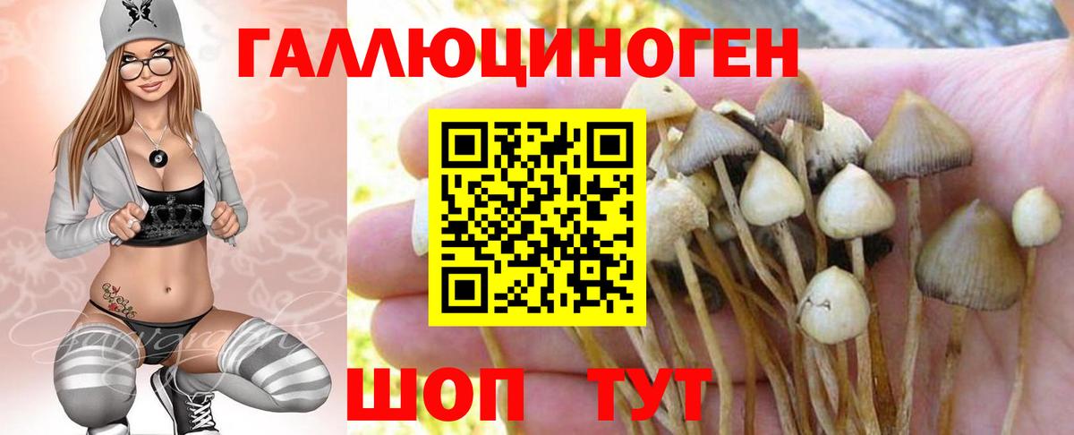 Галлюциногенные грибы MAGIC MUSHROOMS  Вход с VPN  Новотроицк 